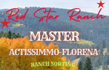 MASTER ACTISSIMMO FLORENA AUTO 2025 !!!