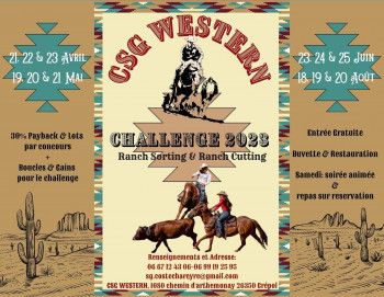 Challenge 2023 CSG Western Ranch Sorting and Ranch Cutting !!!