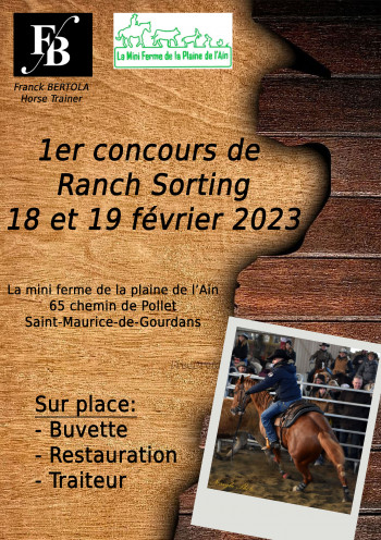 La mini Ferme de l'Ain and  FB Trainning Horse 